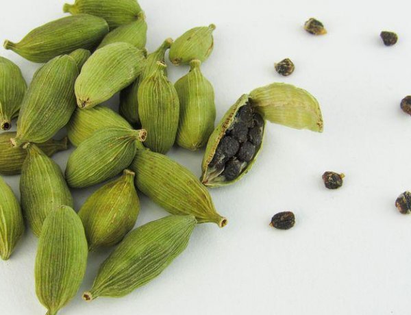 छोटी सी इलायची के इन बड़े फायदों के बारे में आप भी जरूर जाने