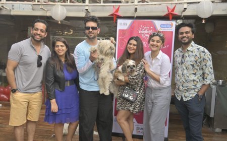 वैलेंटाइन डे पर  'प्यार की दुम सीजन 2' की वापसी