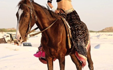 निकिता रावल  'कमरिया' में अपने अद्वितीय फ्यूजन लुक से मंत्रमुग्ध करने के लिए तैयार