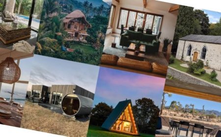 'एयरबीएनबी' में महत्वपूर्ण भूमिका निभा रही हैं महिलाएं