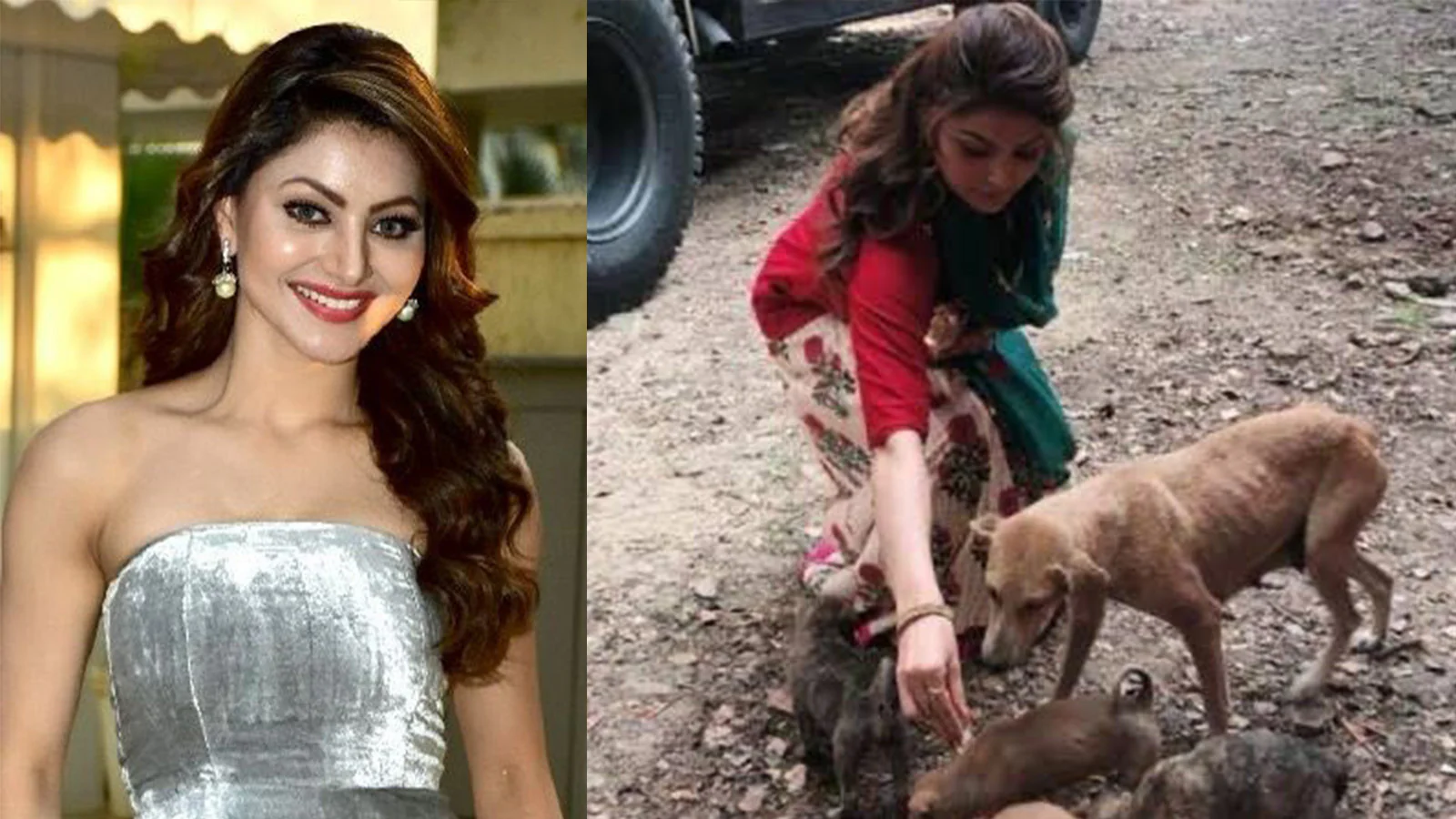 उर्वशी रौतेला का सुप्रीम कोर्ट के फैसले पर बयान