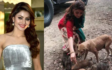 उर्वशी रौतेला का सुप्रीम कोर्ट के फैसले पर बयान